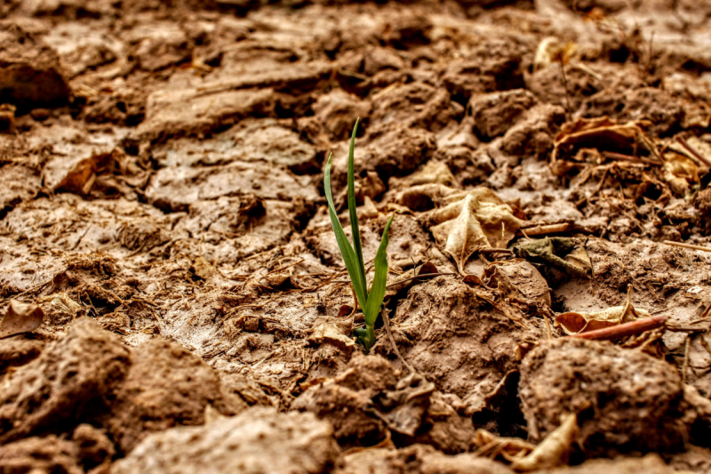 Imatge-destacada-Mailchimp-6